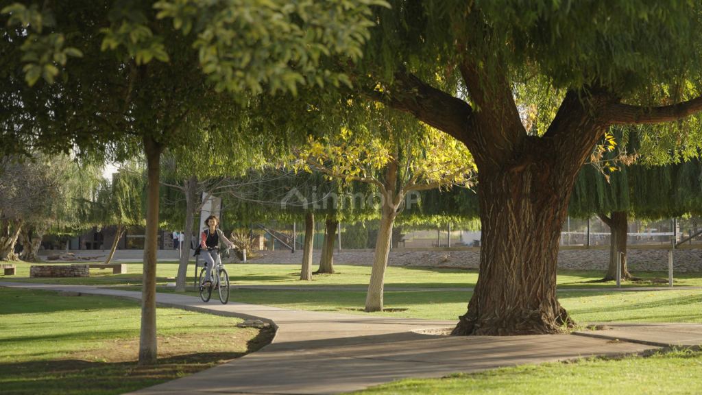 Lote en Venta en Maipu, Mendoza