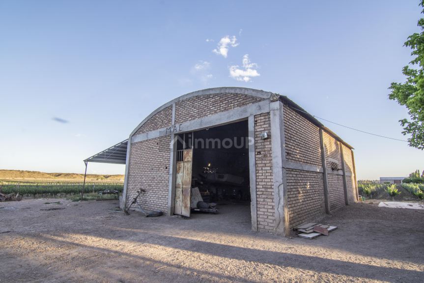 Finca en Venta en Lujan de Cuyo, Mendoza