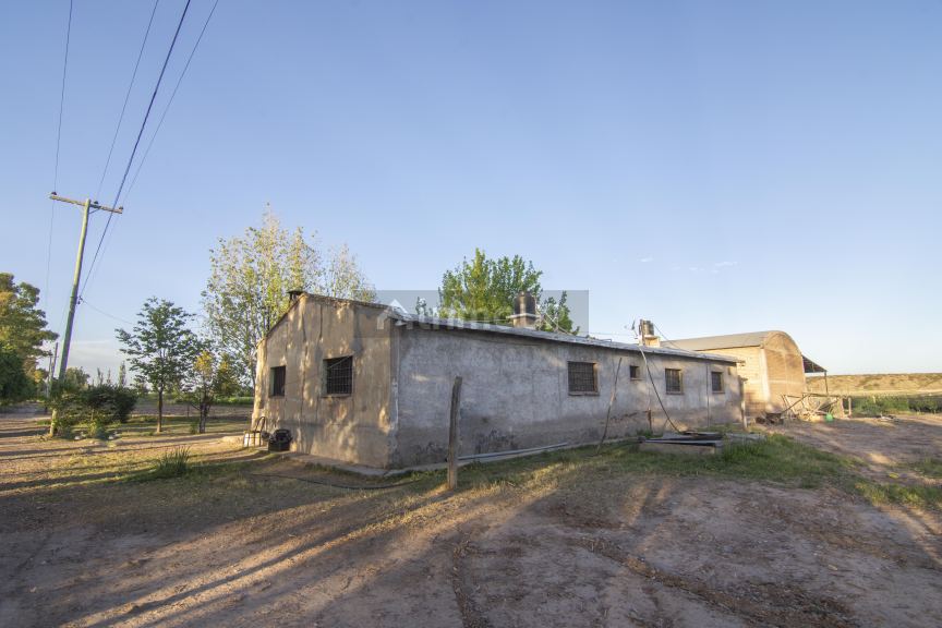 Finca en Venta en Lujan de Cuyo, Mendoza