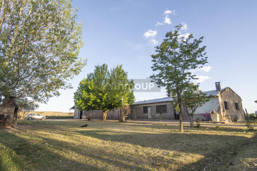 Finca en Venta en Lujan de Cuyo, Mendoza