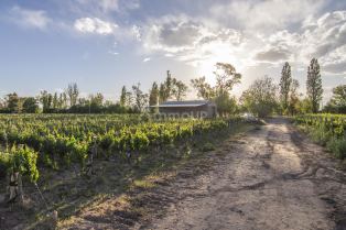 Lujan de Cuyo Ruta Provincial N 15 S/N