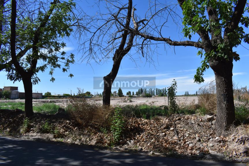 Lote en Venta en Maipu, Mendoza
