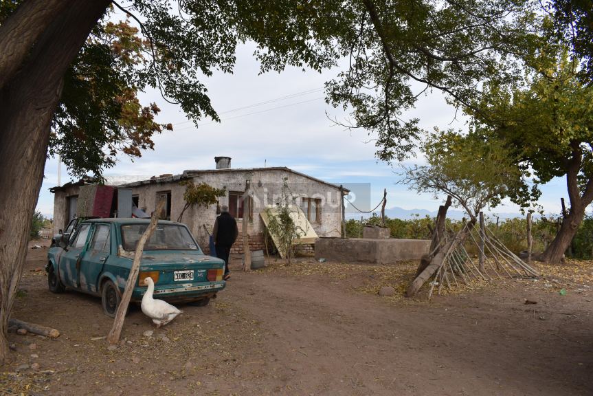 Finca en Venta en San Martin, Mendoza