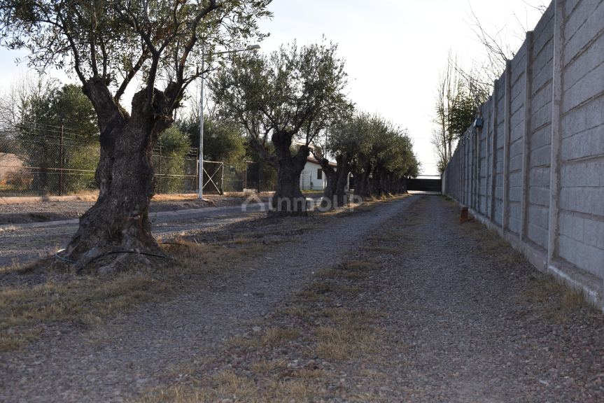 Lote en Venta en Maipu, Mendoza