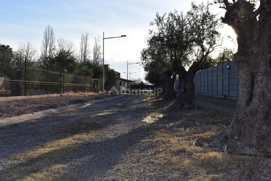 Lote en Venta en Maipu, Mendoza