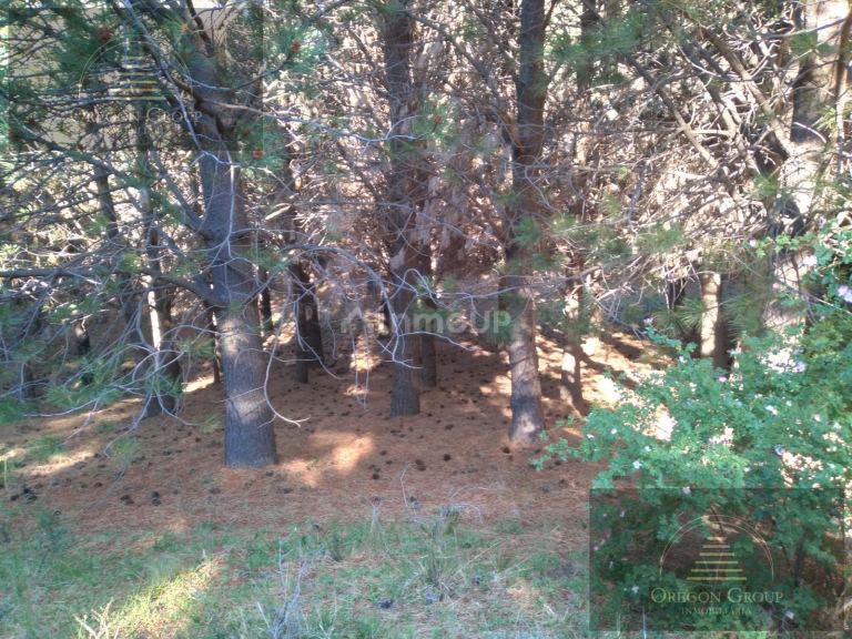 Terreno en Venta en Huiliches, Neuquen