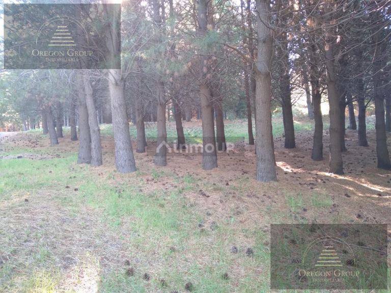 Terreno en Venta en Huiliches, Neuquen