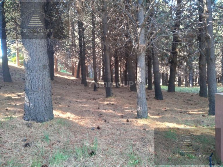 Terreno en Venta en Huiliches, Neuquen