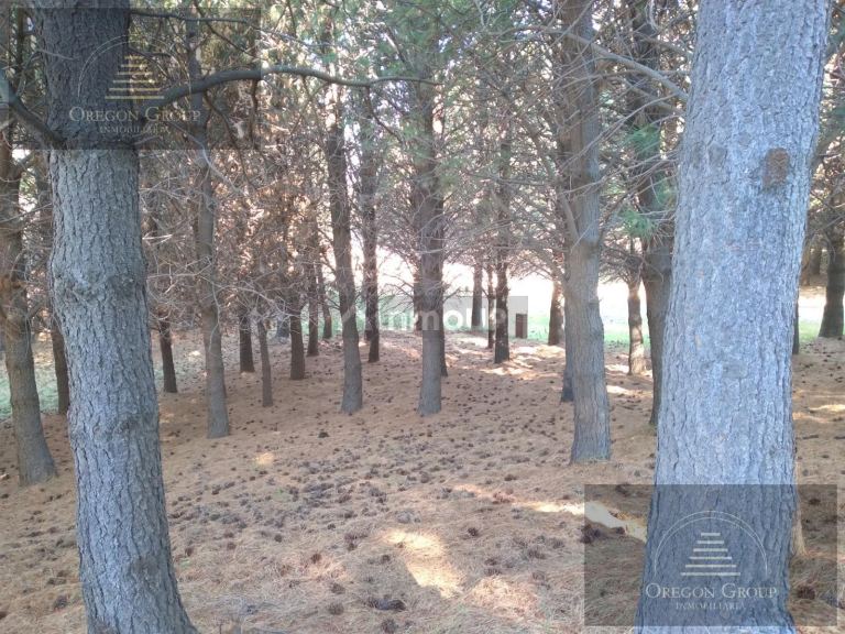 Terreno en Venta en Huiliches, Neuquen