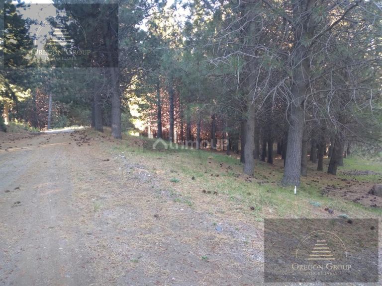 Terreno en Venta en Huiliches, Neuquen