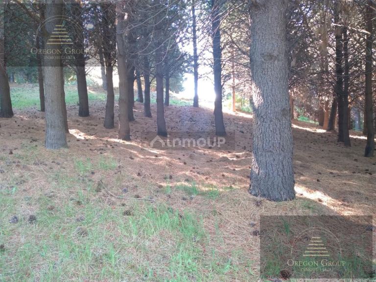 Terreno en Venta en Huiliches, Neuquen