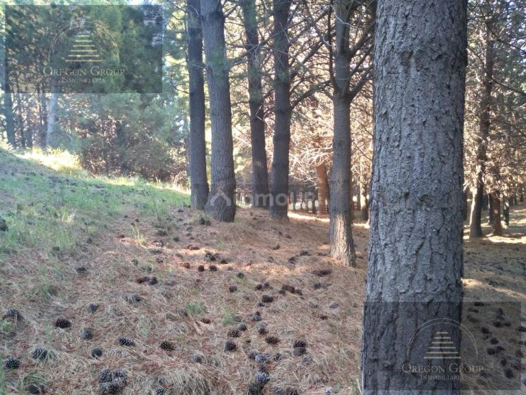 Terreno en Venta en Huiliches, Neuquen