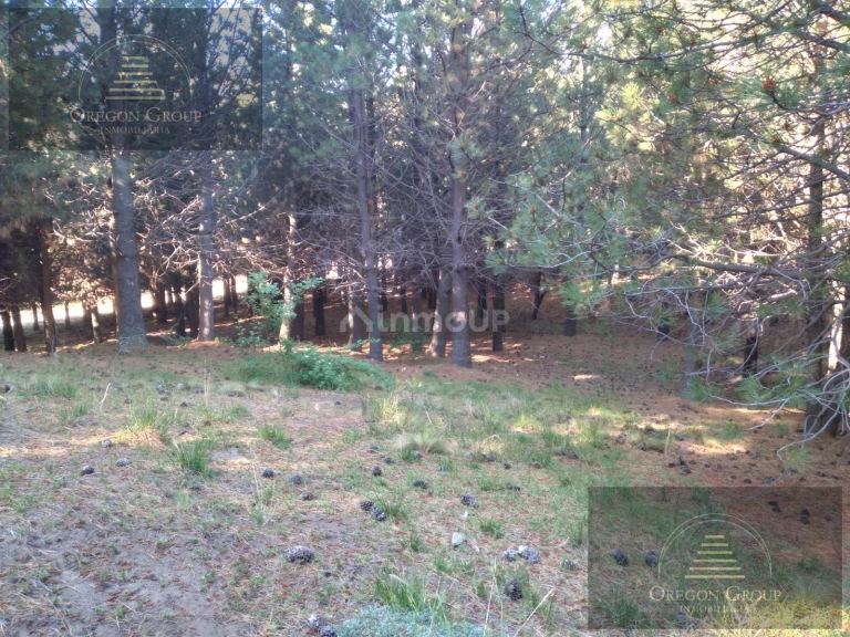 Terreno en Venta en Huiliches, Neuquen
