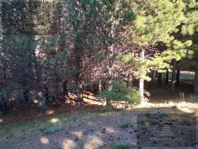 Terreno en Venta en Huiliches, Neuquen