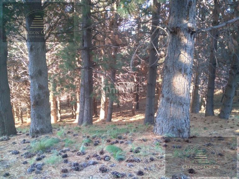 Terreno en Venta en Huiliches, Neuquen