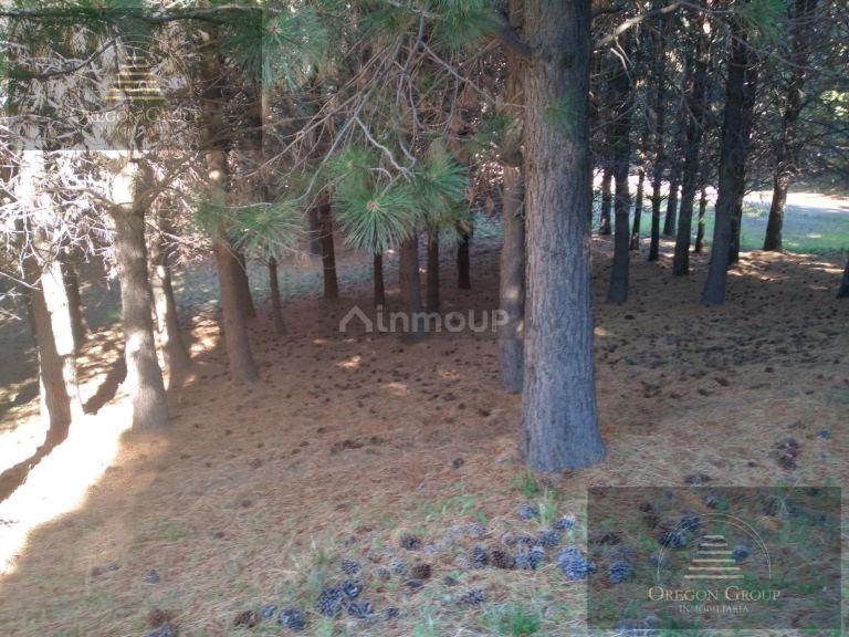 Terreno en Venta en Huiliches, Neuquen