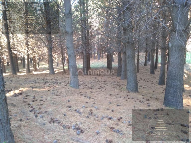 Terreno en Venta en Huiliches, Neuquen