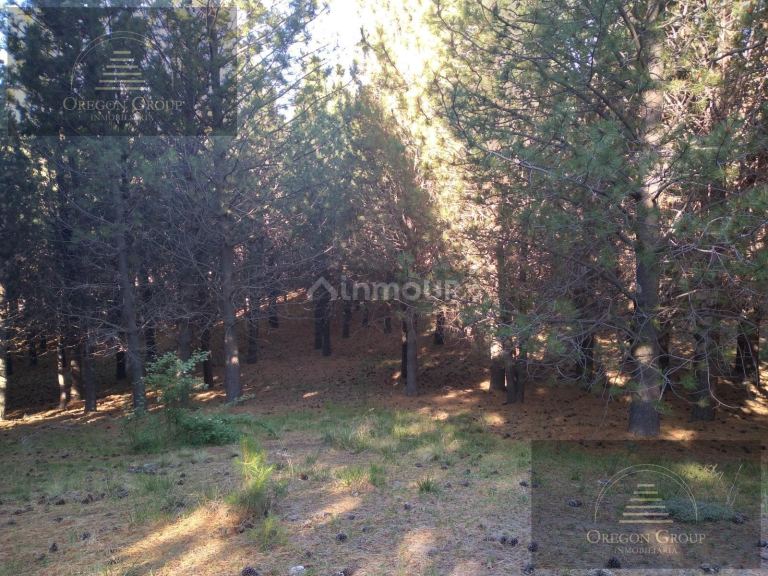 Terreno en Venta en Huiliches, Neuquen