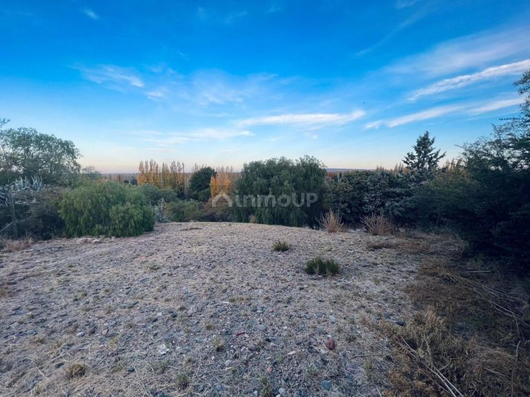 Lote en Venta en Lujan de Cuyo, Mendoza