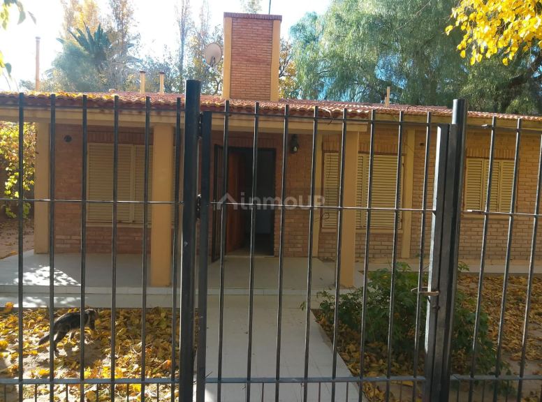 Casa en Alquiler en Rivadavia, San Juan