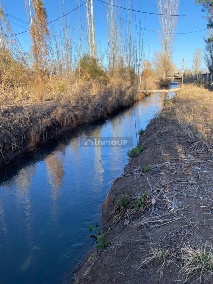 Finca en Venta en Lavalle, Mendoza