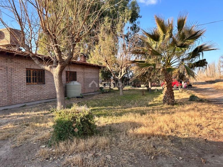 Finca en Venta en Lavalle, Mendoza