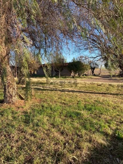 Finca en Venta en Lavalle, Mendoza