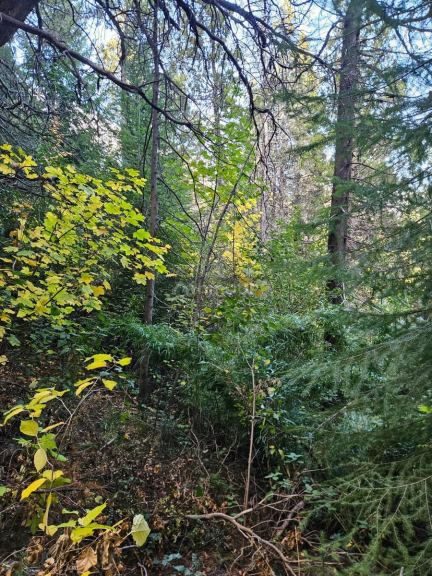 Terreno en Venta en San Carlos de Bariloche, Rio Negro