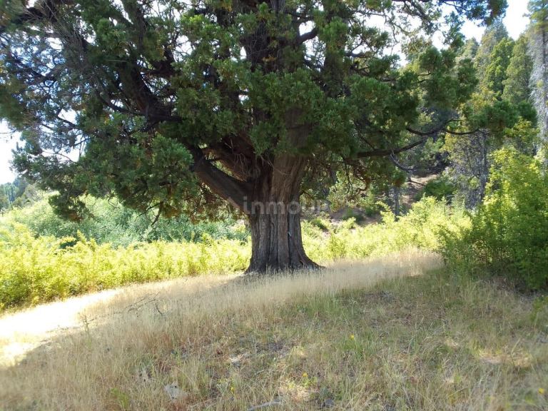 Terreno en Venta en Cushamen, Chubut