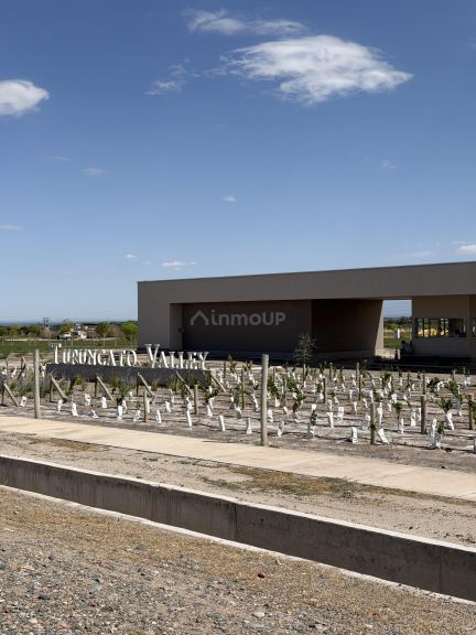 Lote en Venta en Tupungato, Mendoza