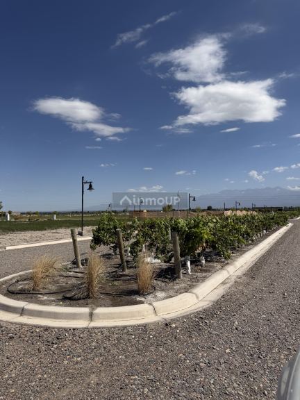 Lote en Venta en Tupungato, Mendoza