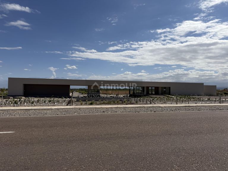 Lote en Venta en Tupungato, Mendoza