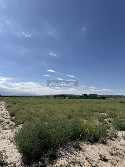 Lote en Venta en Tupungato, Mendoza