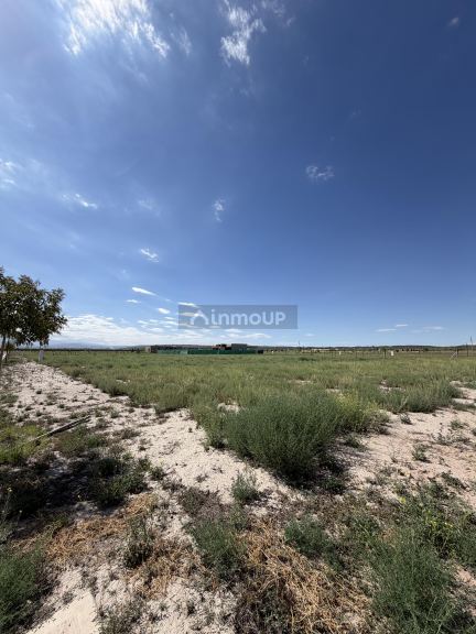 Lote en Venta en Tupungato, Mendoza