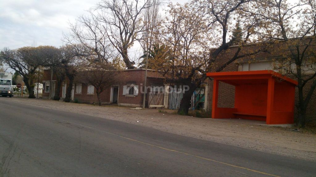 Finca en Venta en Rivadavia, Mendoza
