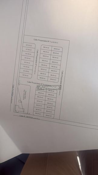 Finca en Venta en Rivadavia, Mendoza