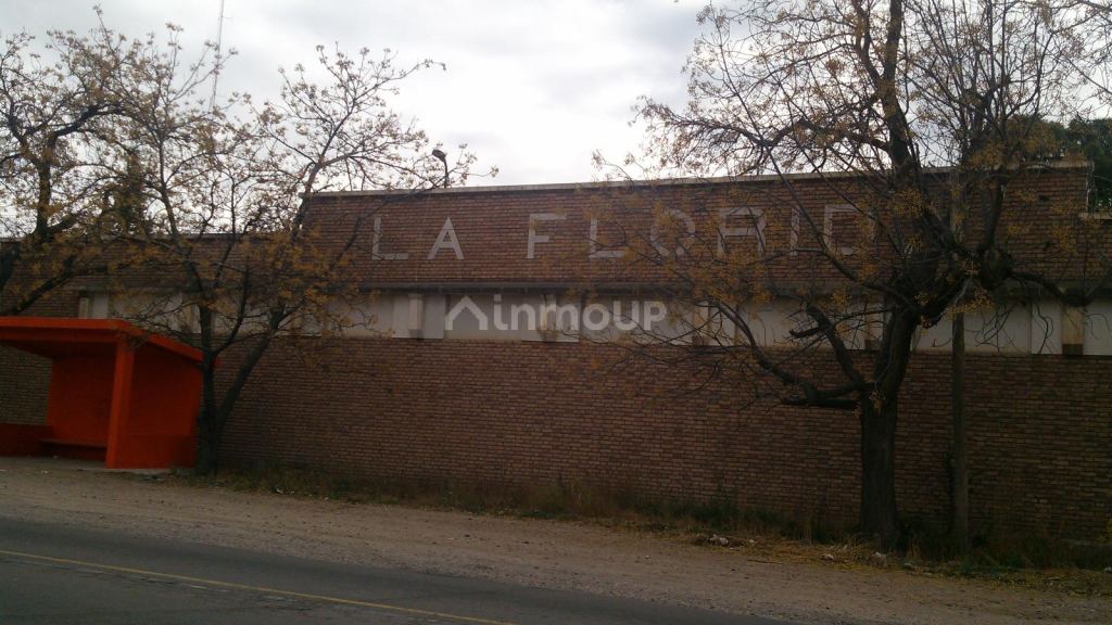 Finca en Venta en Rivadavia, Mendoza