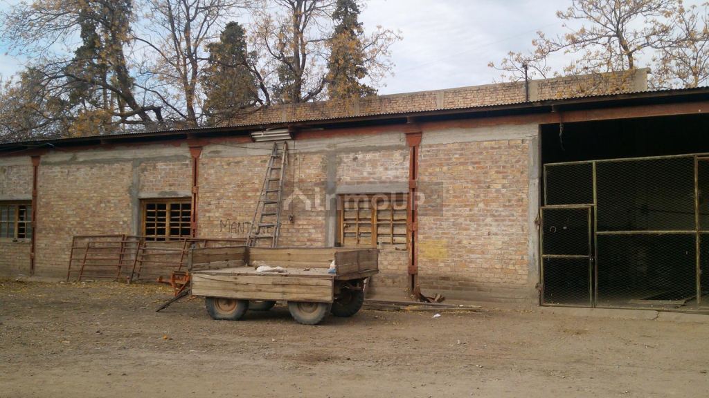Finca en Venta en Rivadavia, Mendoza