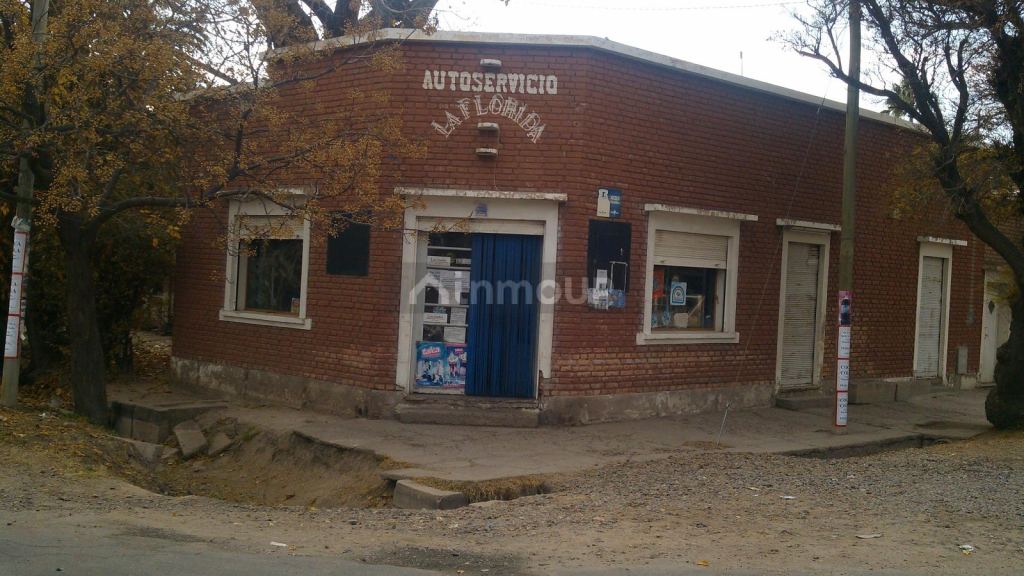 Finca en Venta en Rivadavia, Mendoza