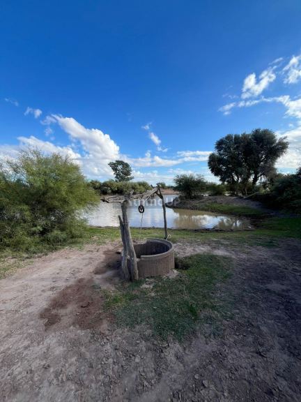 Campo en Venta en Lavalle, Mendoza