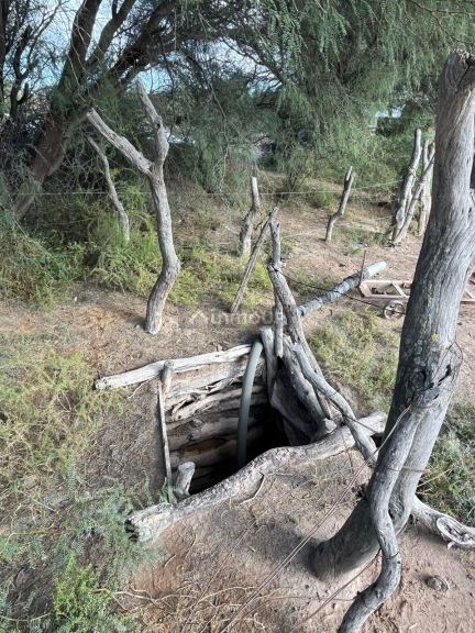 Campo en Venta en Lavalle, Mendoza