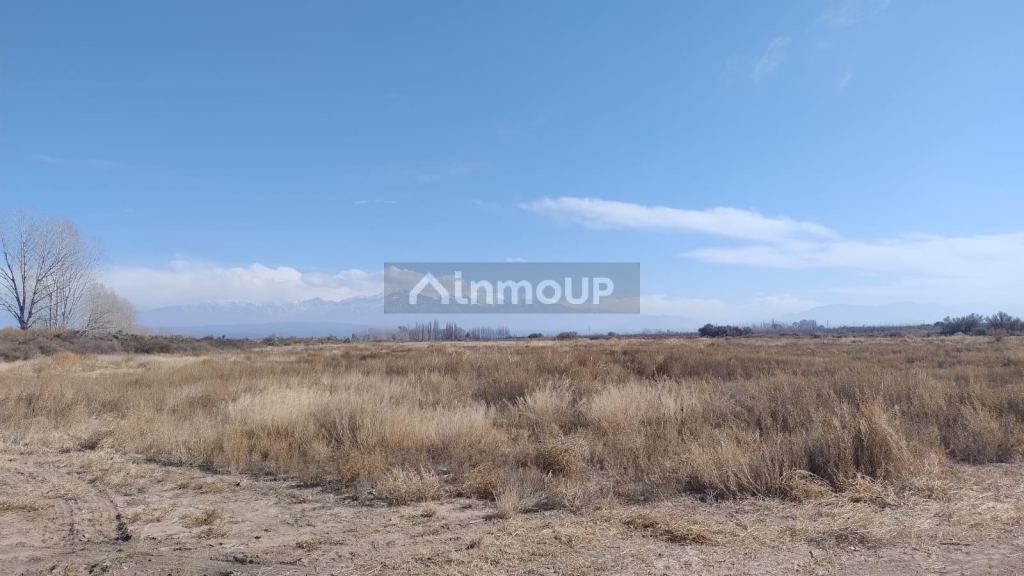 Finca en Venta en Lujan de Cuyo, Mendoza
