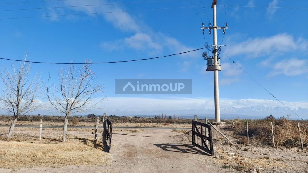 Finca en Venta en Lujan de Cuyo, Mendoza