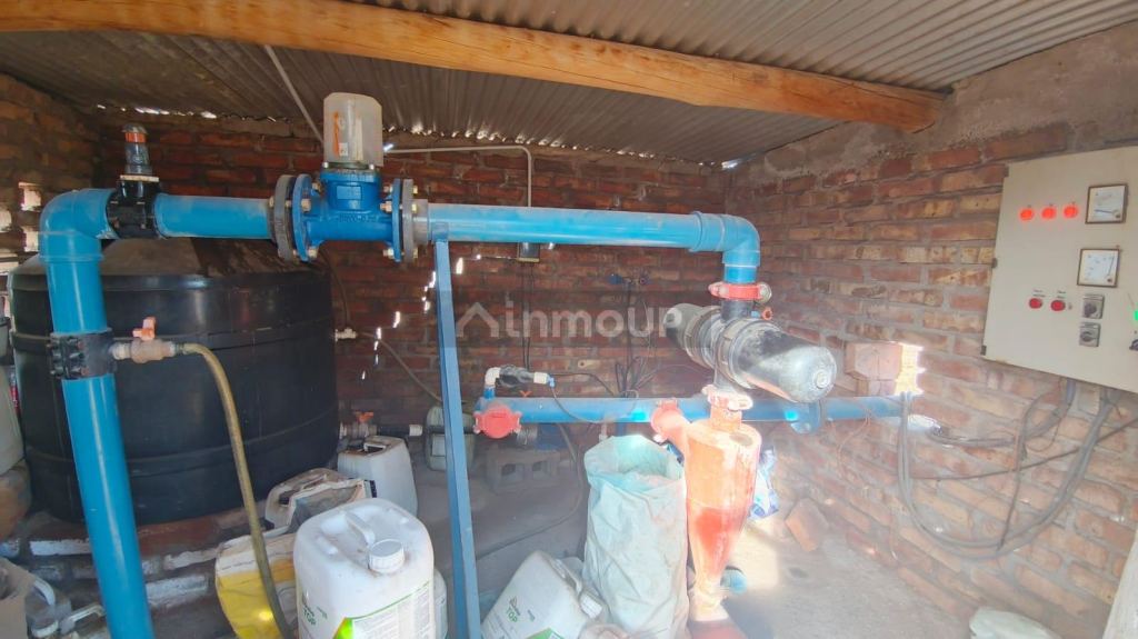 Finca en Venta en Lujan de Cuyo, Mendoza