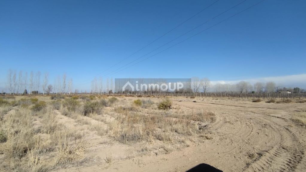 Finca en Venta en Lujan de Cuyo, Mendoza