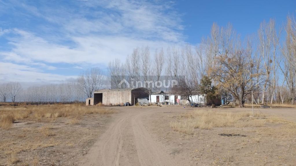 Finca en Venta en Lujan de Cuyo, Mendoza