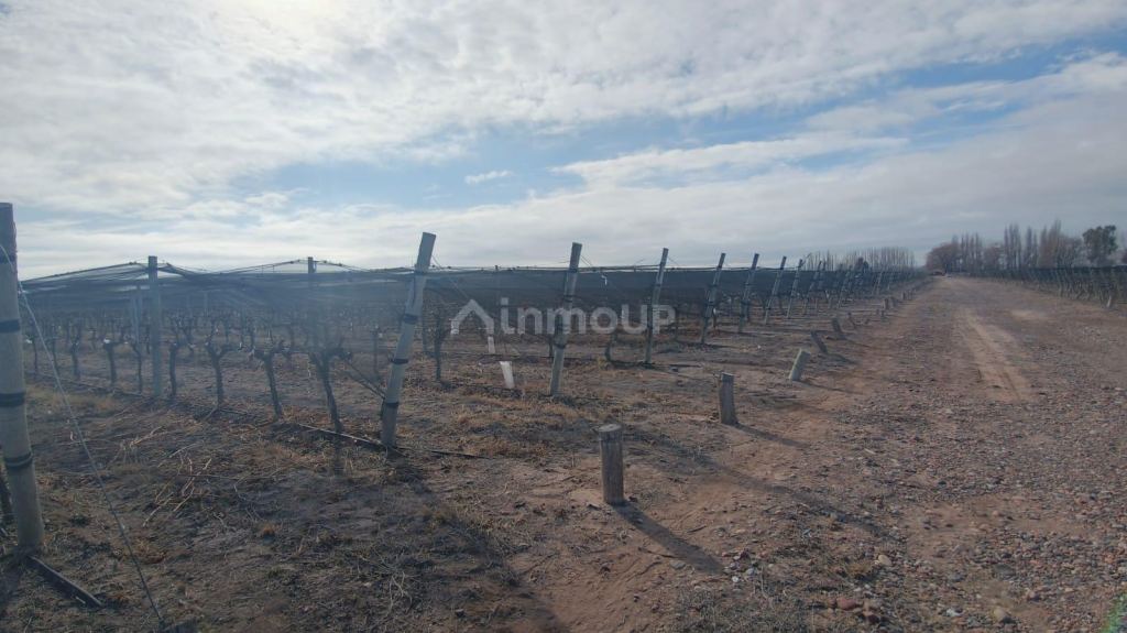 Lujan de Cuyo R. N 40, Ugarteche, Lujan de Cuyo, Mendoza