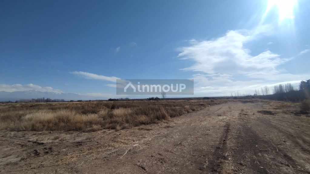 Finca en Venta en Lujan de Cuyo, Mendoza