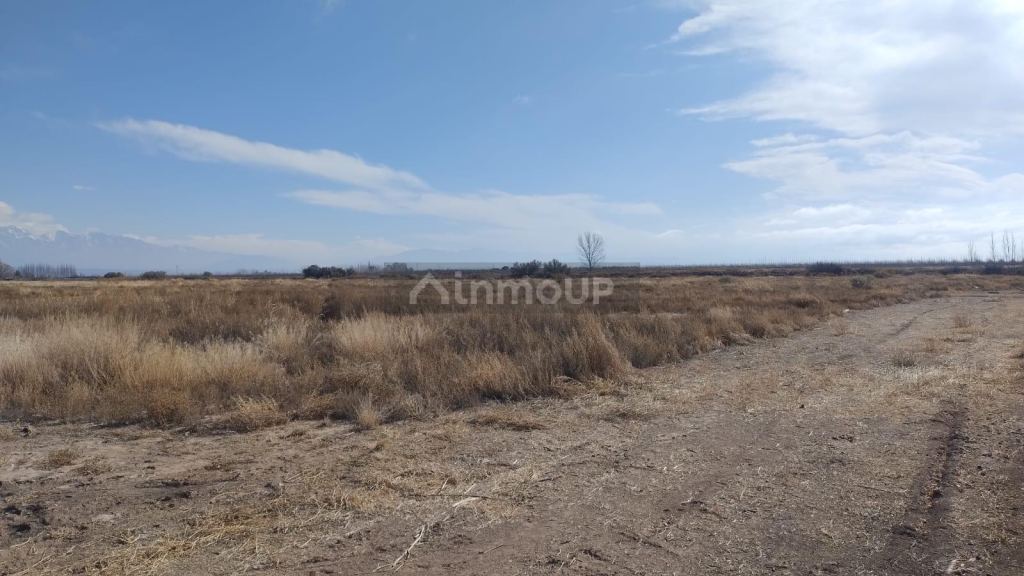 Finca en Venta en Lujan de Cuyo, Mendoza