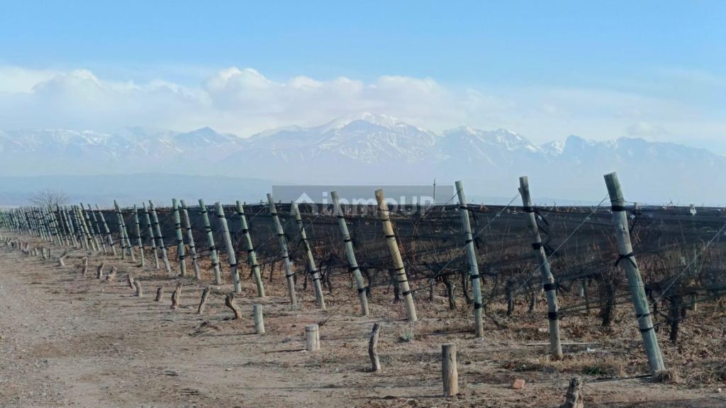 Lujan de Cuyo R. N 40, Ugarteche, Lujan de Cuyo, Mendoza